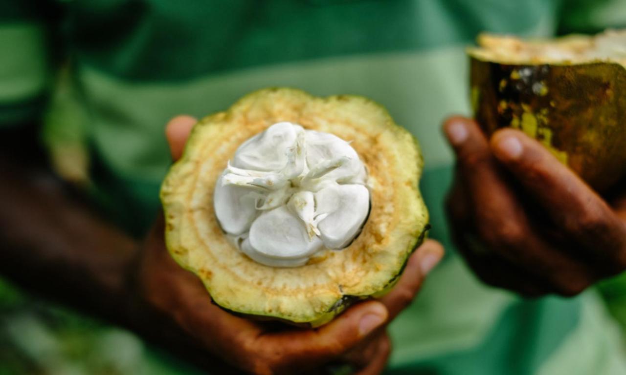 Omali Sao Tome Hotel Buitenkant foto